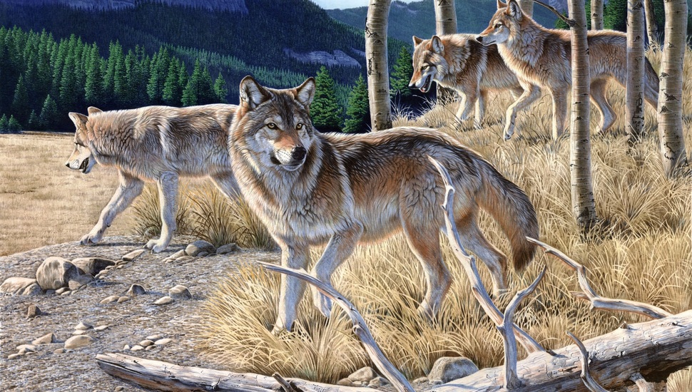 Dry, Forest, Mountain, Painting, A Pack Of Wolves, - Wolf Wallpaper Painting - HD Wallpaper 