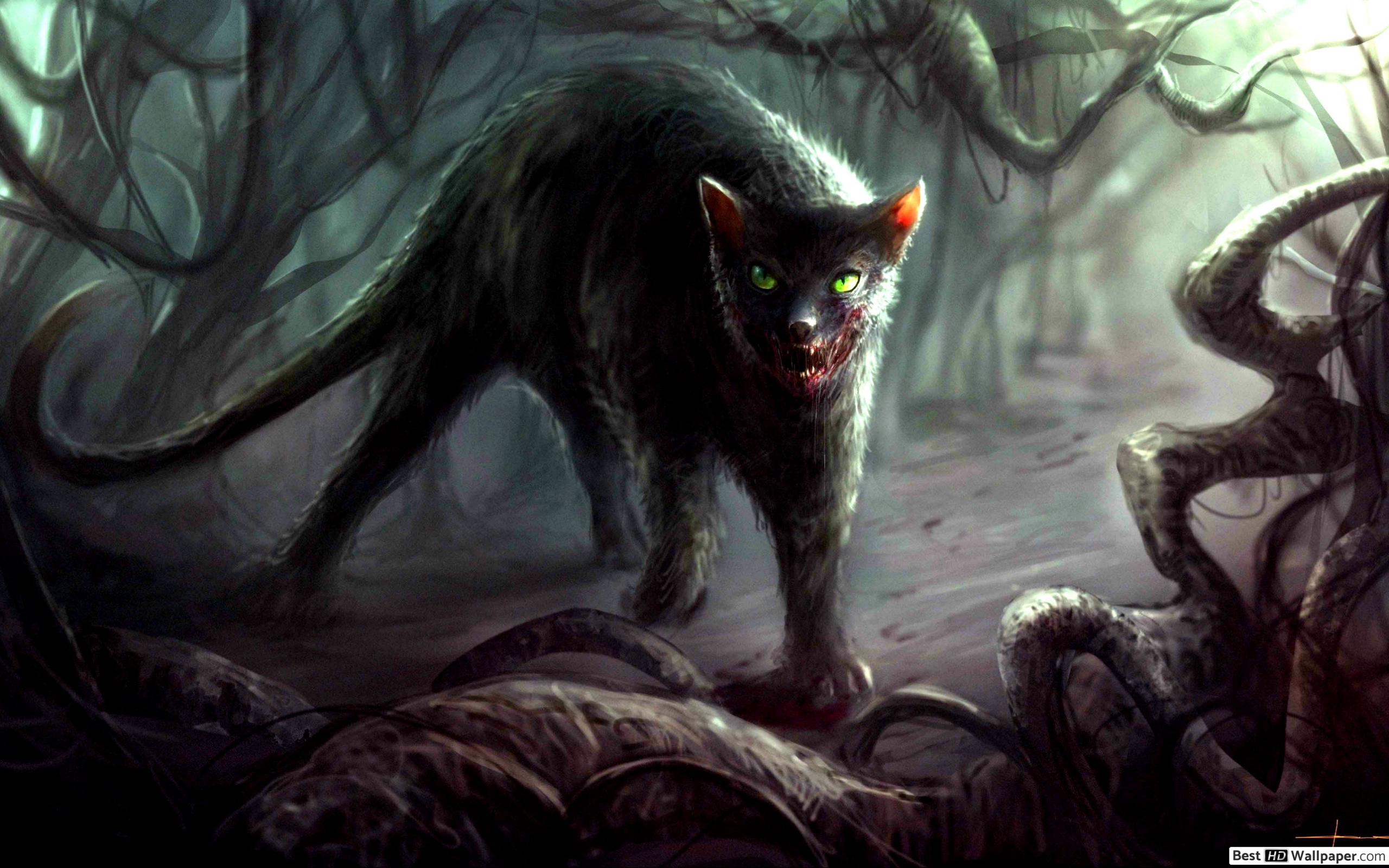 Forest Cat Fantasy Art - HD Wallpaper 