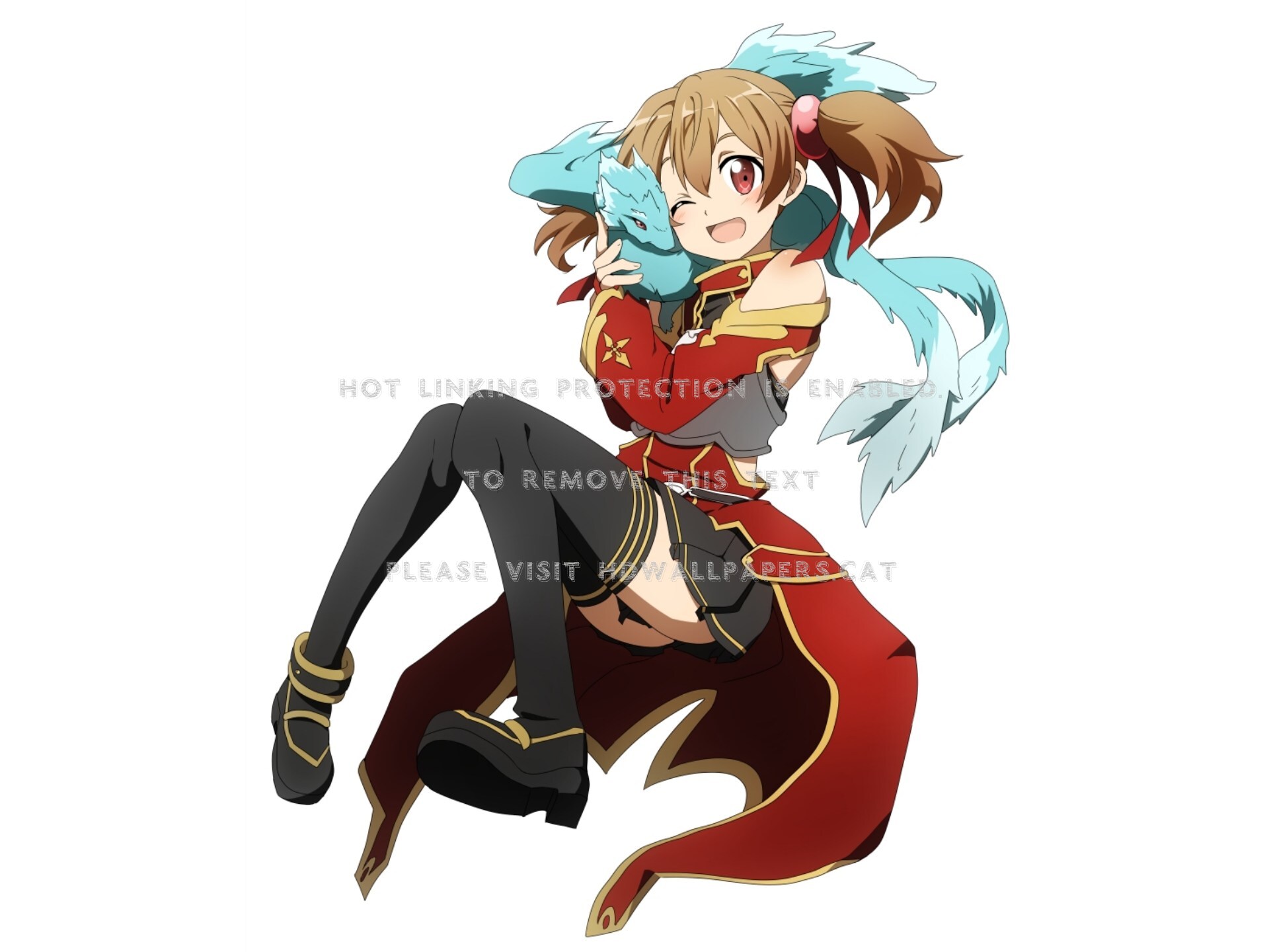 Silica Sword Art Online Dragon Brown Hair - Sao Silica And Pina - HD Wallpaper 