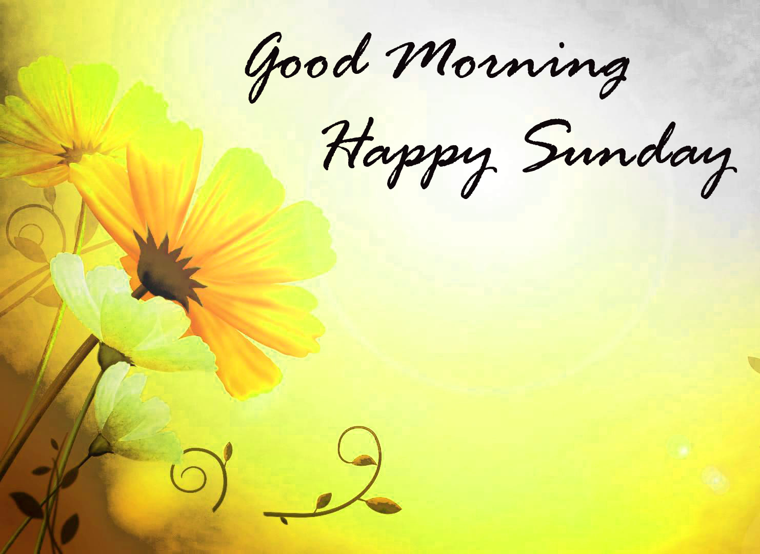 Whatsapp Good Morning Sunday - HD Wallpaper 