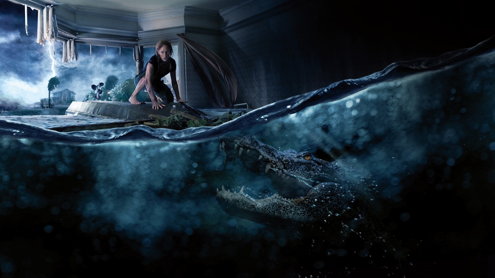 Crawl 2019, Horror Movies, Crocodile - Predadores Assassinos - HD Wallpaper 