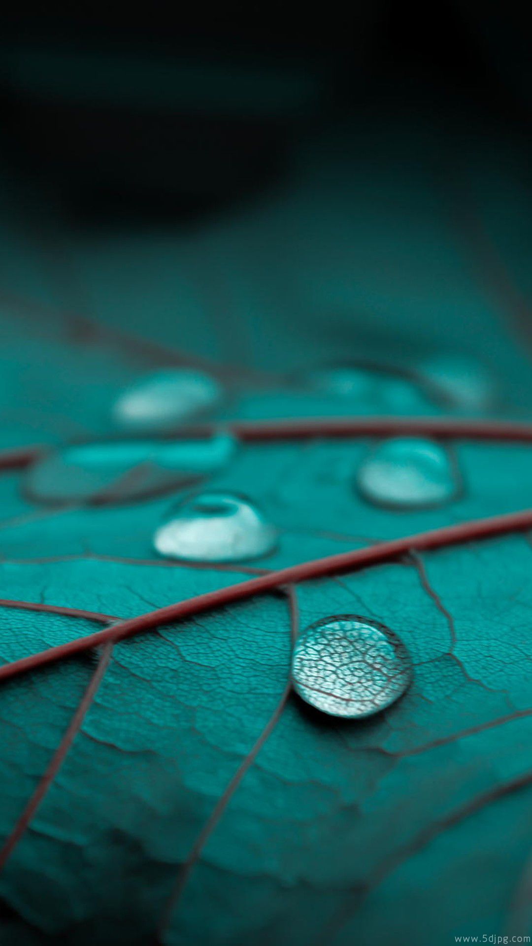 High Resolution Hd Wallpapers 1080p - HD Wallpaper 