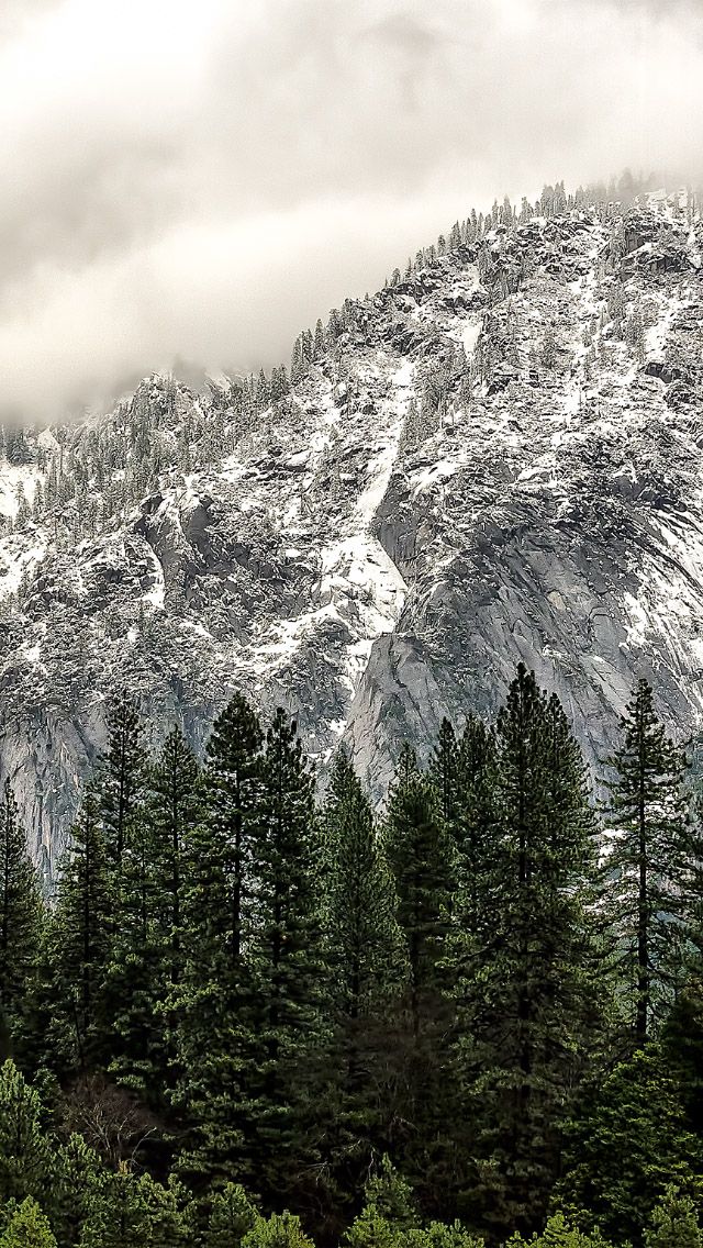 Yosemite National Park - HD Wallpaper 