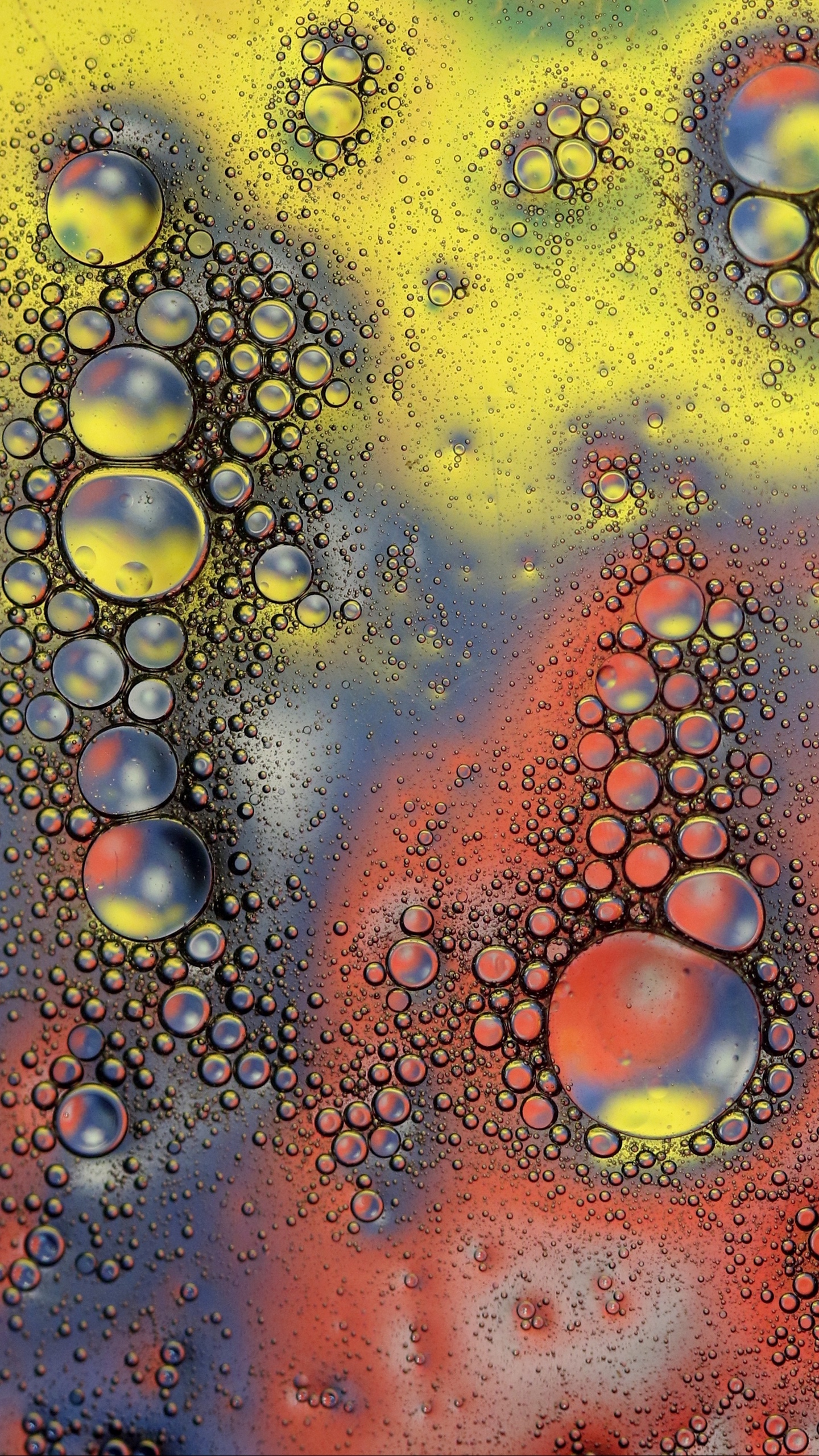 Wallpaper Drops, Bubbles, Macro, Paints, Sizes, Shapes - Wallpaper - HD Wallpaper 