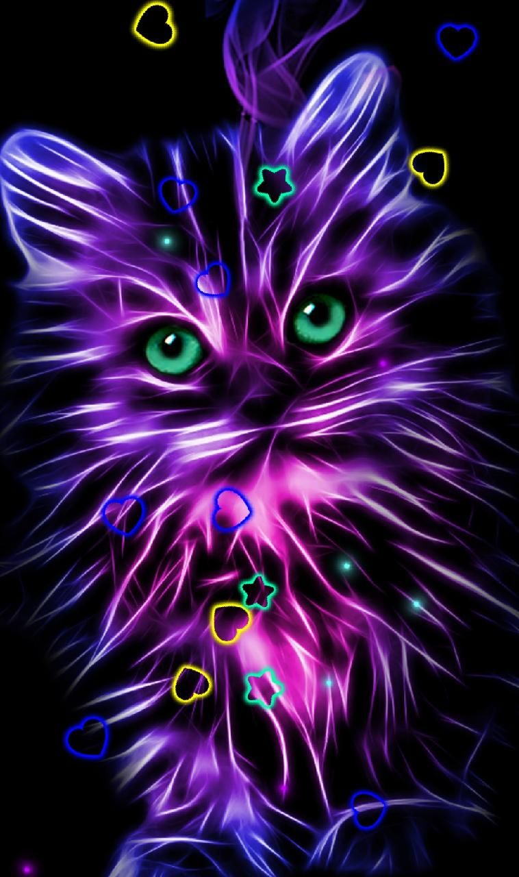Neon Cat - HD Wallpaper 