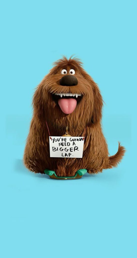 Cute Secret Life Of Pets - HD Wallpaper 