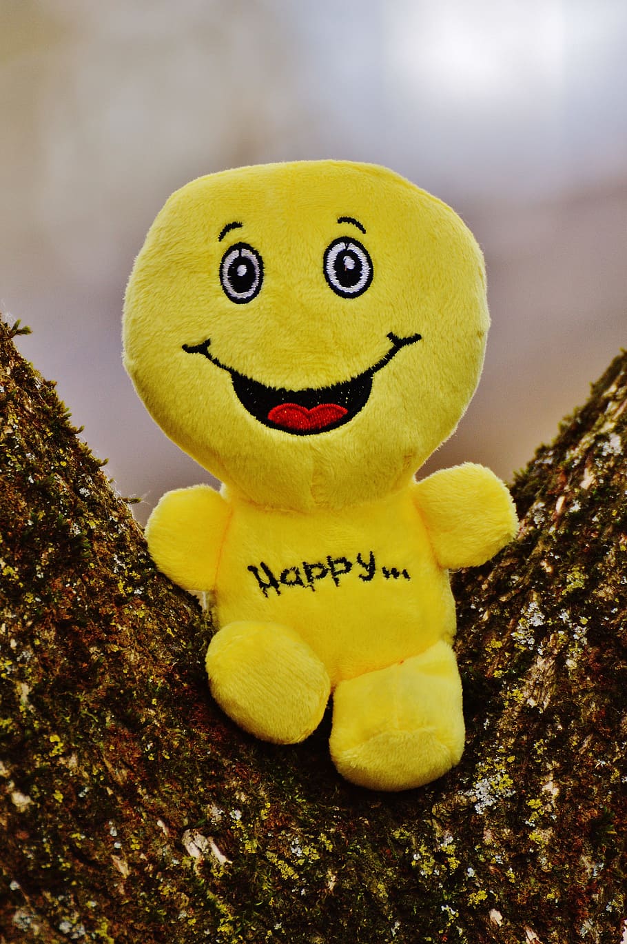 Yellow Happy Plush Toy On Wood, Smiley, Laugh, Emoticon, - Like To Stay Happy - HD Wallpaper 