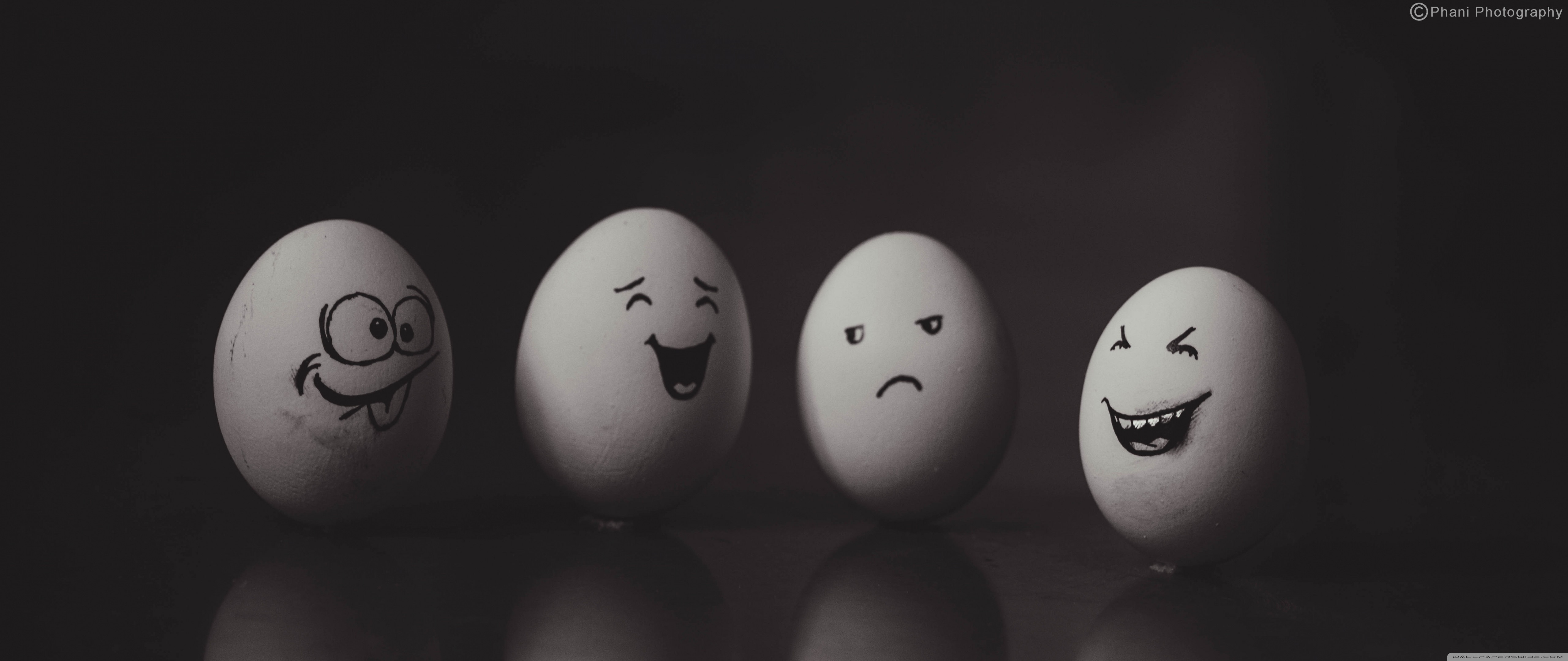 21 9 Wallpaper Funny - HD Wallpaper 