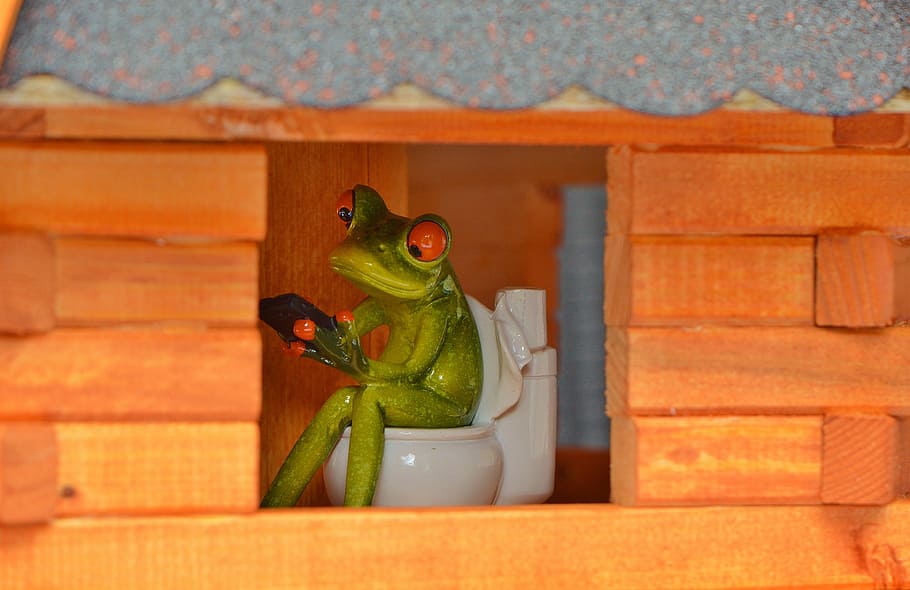 Frog, Mobile, Mobile Phone, Window, Toilet, Loo, Wc, - Toilet - HD Wallpaper 