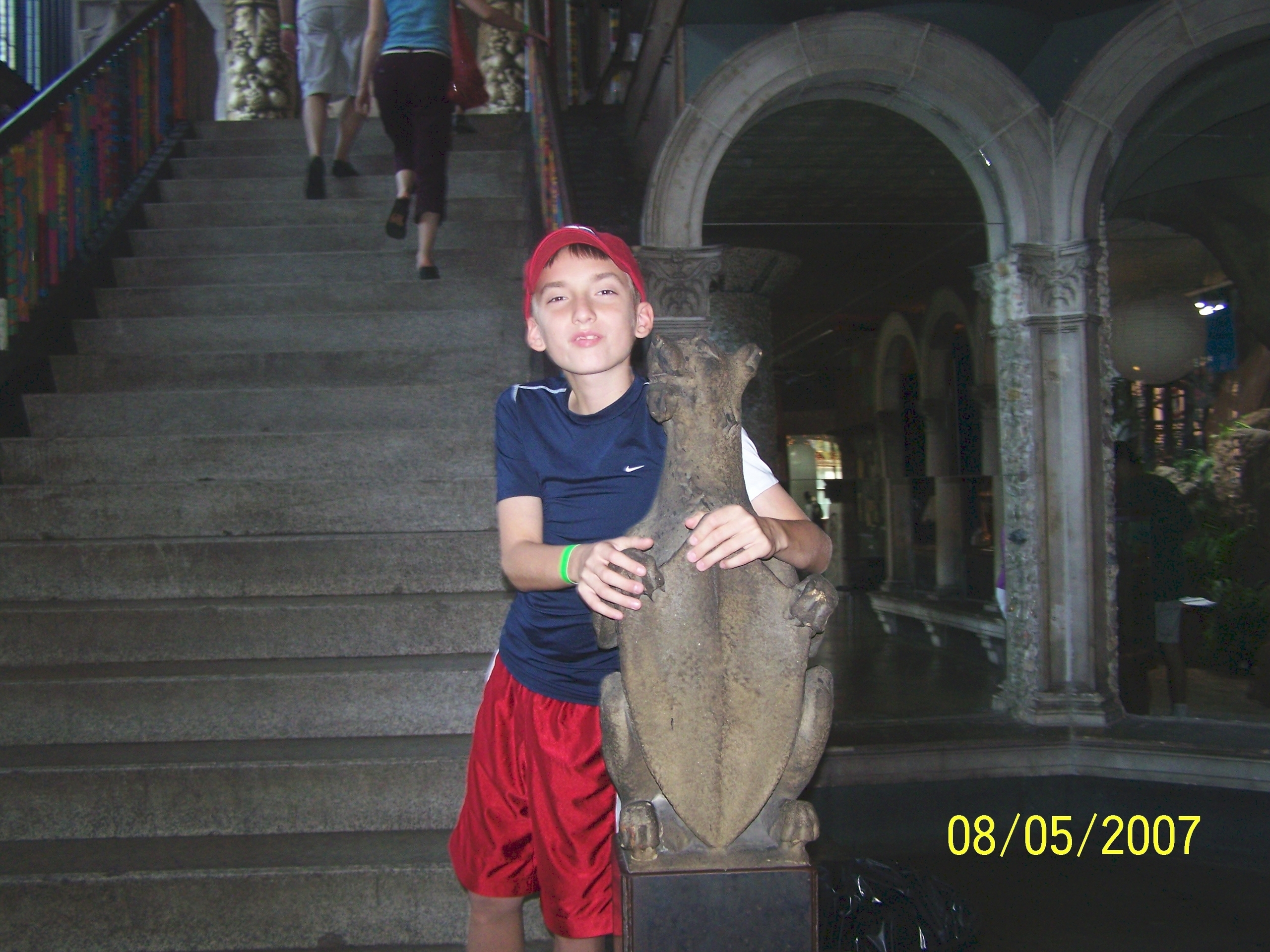 Funny - Carp - HD Wallpaper 