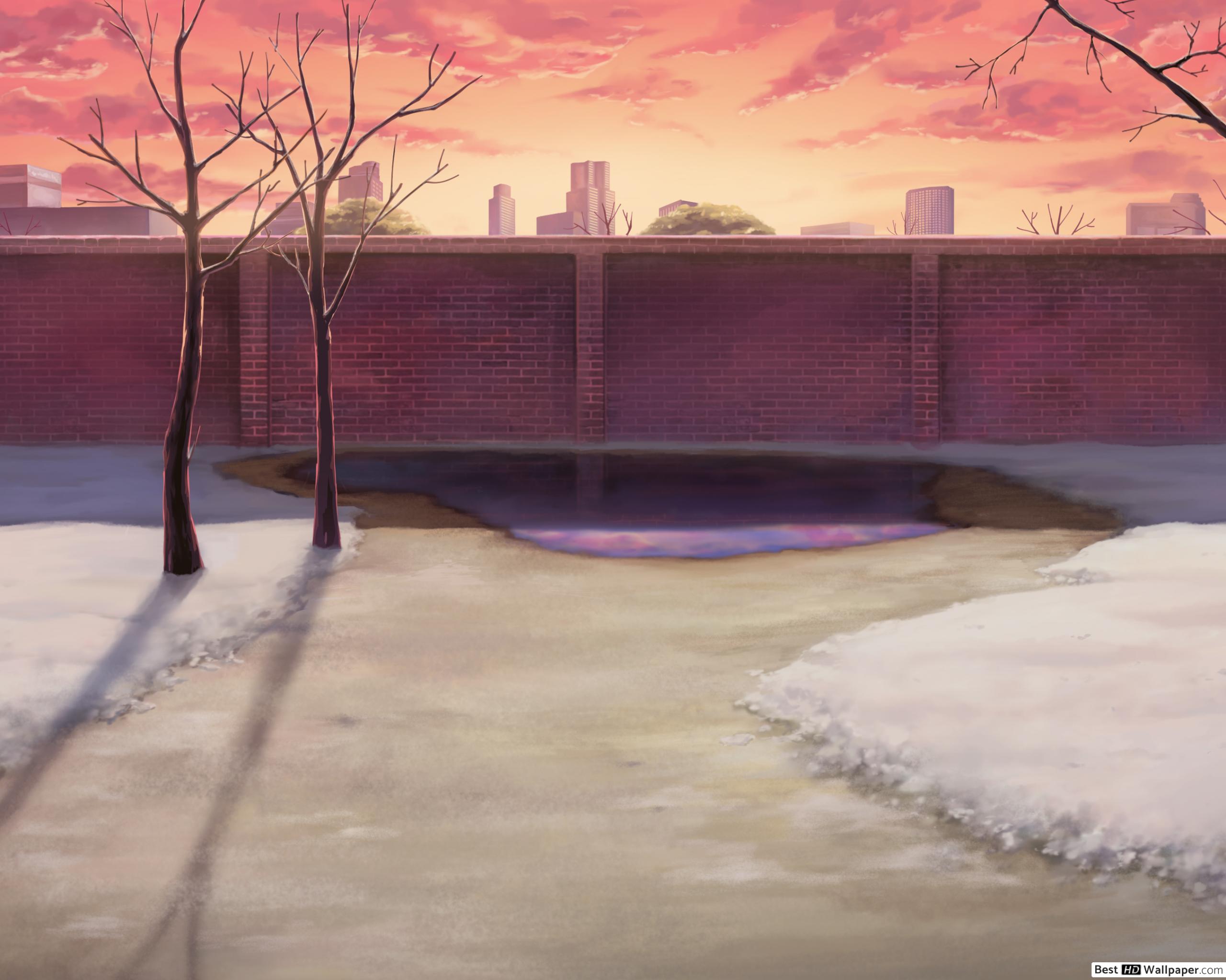 Wallpaper - HD Wallpaper 