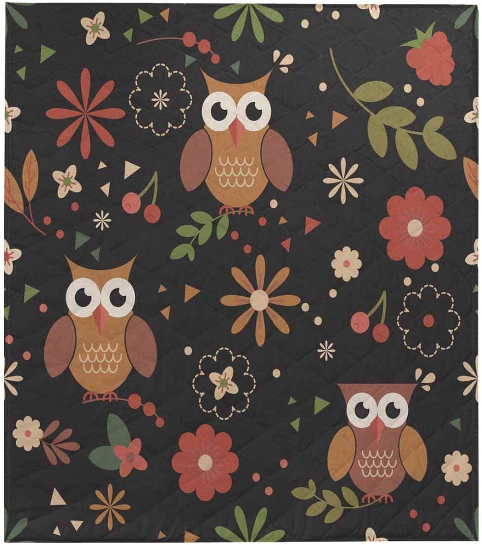 Owl - HD Wallpaper 