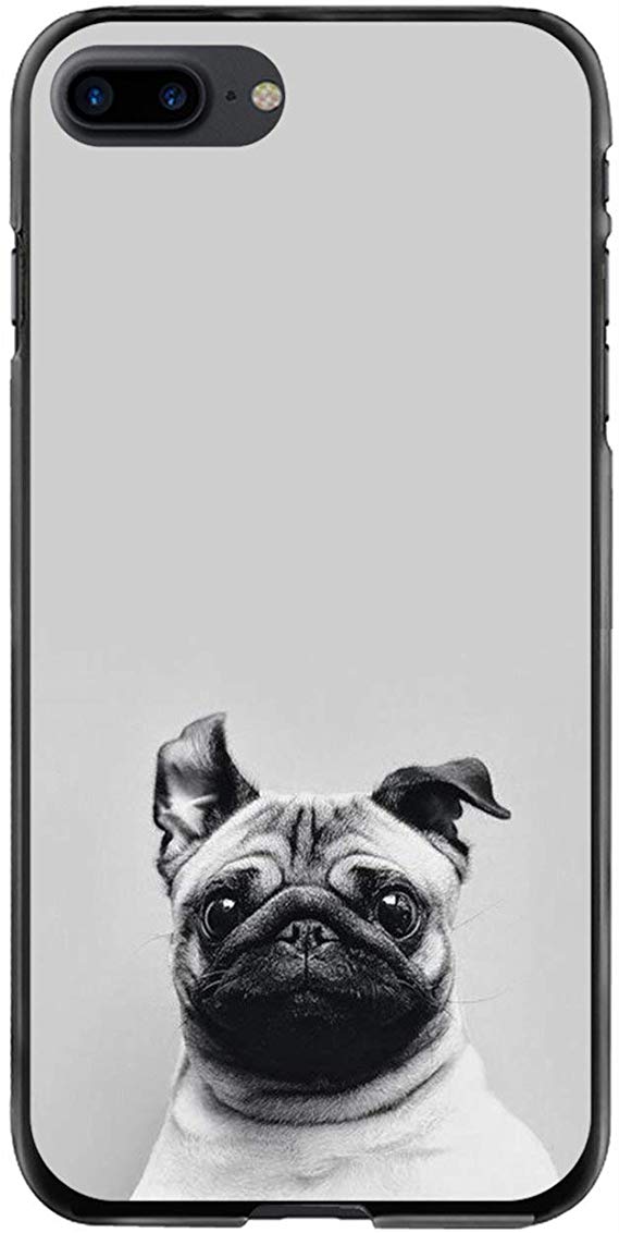 Cute Pug Wallpaper Hd - HD Wallpaper 