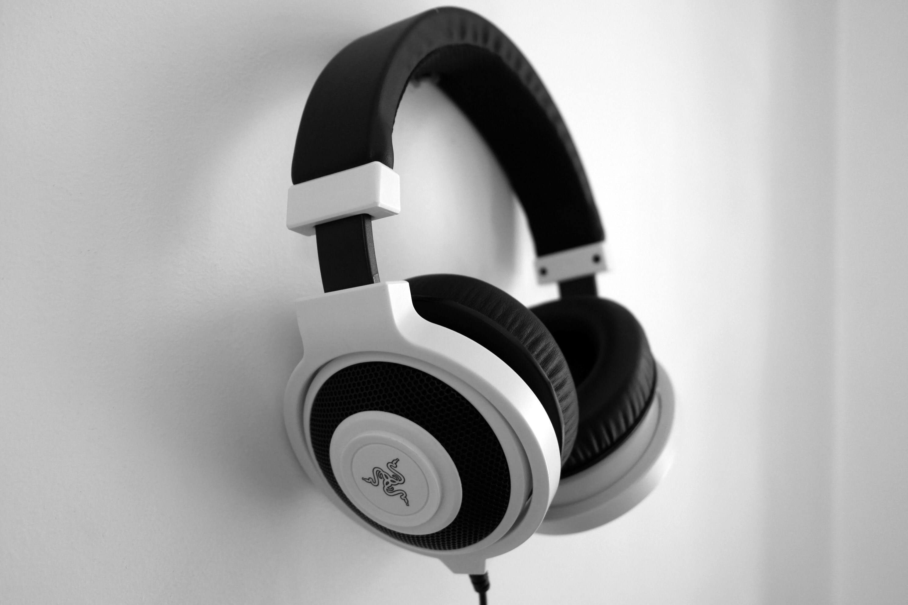 Razer Black And White Headset - HD Wallpaper 