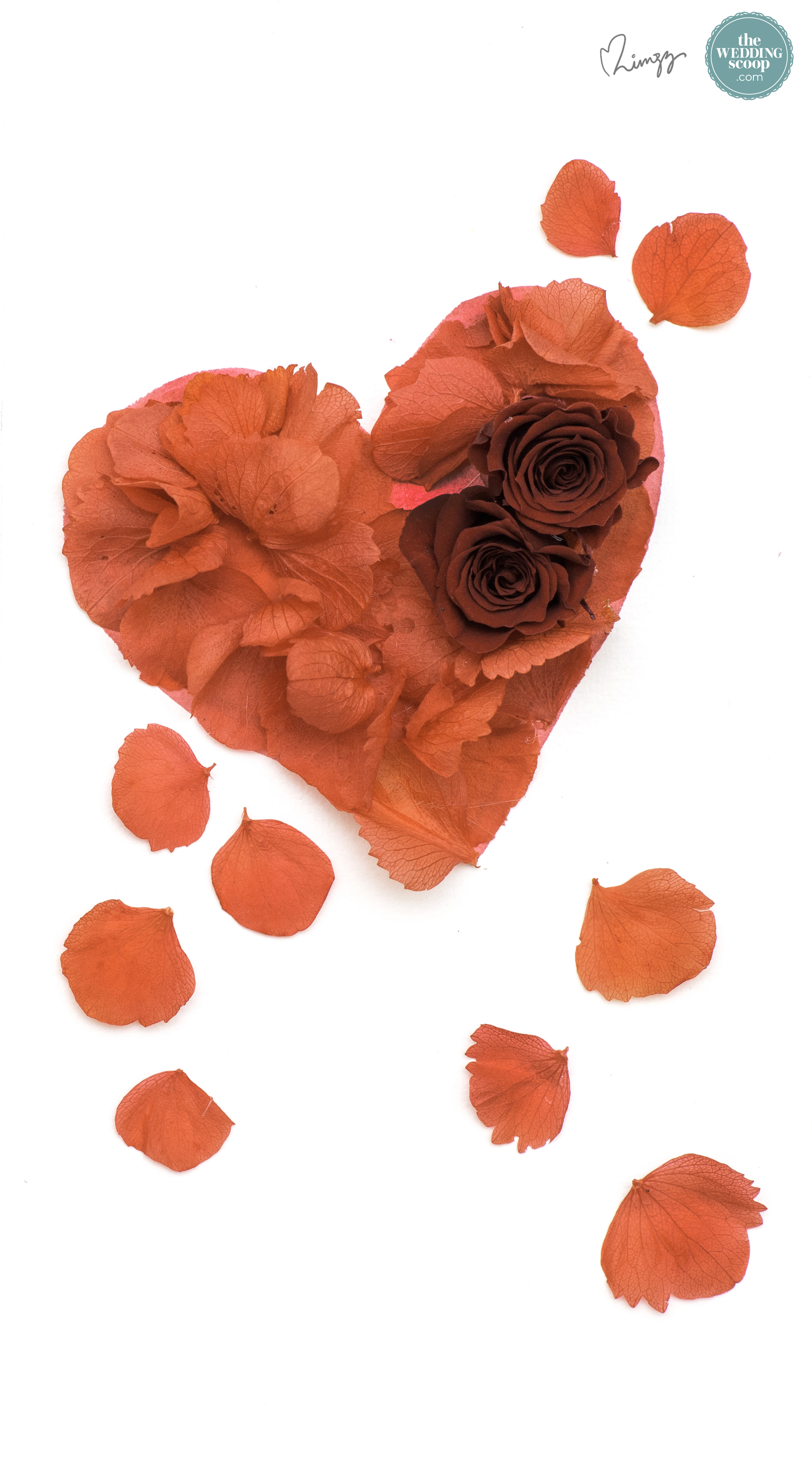 Hybrid Tea Rose - HD Wallpaper 