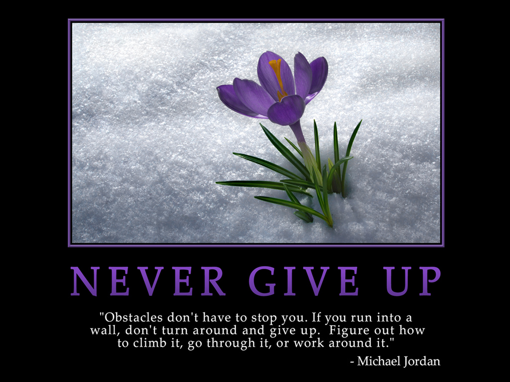 Never Give Up Wallpaper Mlm Motivational Download - Quotes About Walking  Again - 1024x768 Wallpaper 