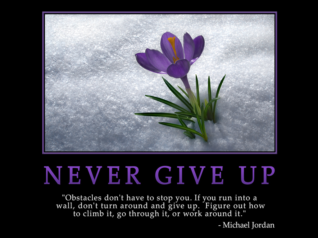 Never Give Up Wallpaper Mlm Motivational Download - Quotes About Walking Again - HD Wallpaper 