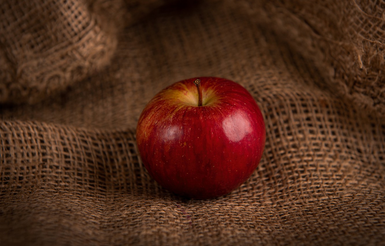Photo Wallpaper Red, Apple, Food, Fruit, Still Life, - Mcintosh - HD Wallpaper 