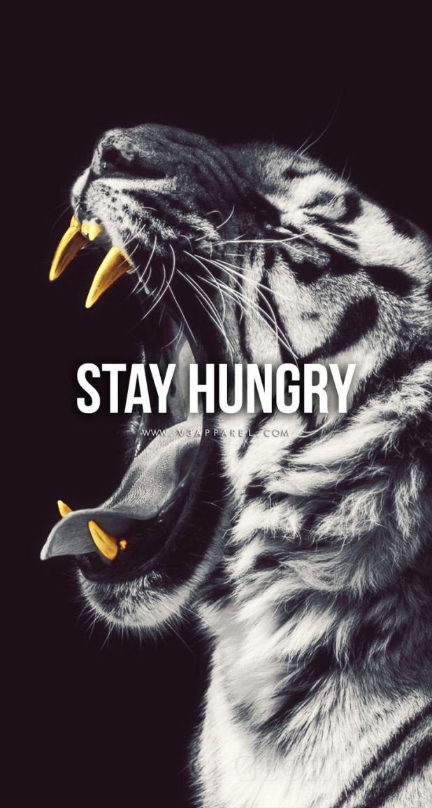 Fitness Wallpaper Iphone - Stay Hungry Wallpaper Iphone - HD Wallpaper 