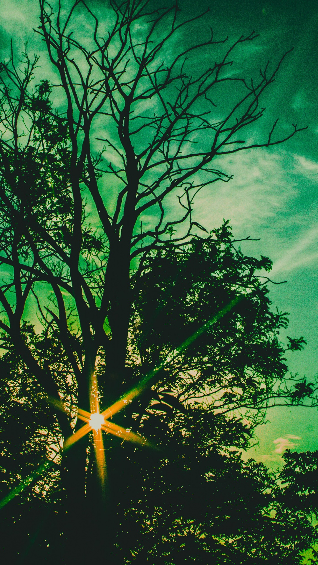 Fantasy Twilight Silhouette Hd Wallpaper - Twilight Blue Wallpaper Iphone Hd - HD Wallpaper 