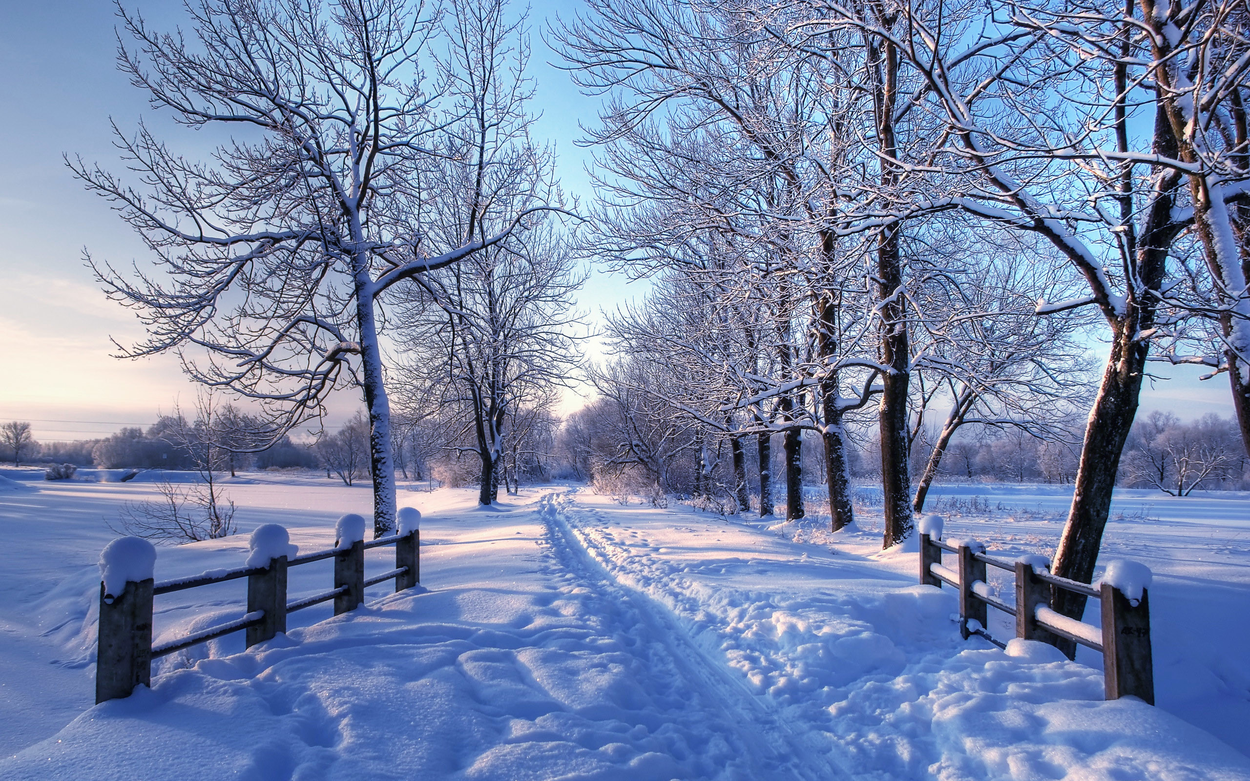 Winter Mac Backgrounds - Winter Wallpapers Mac - HD Wallpaper 