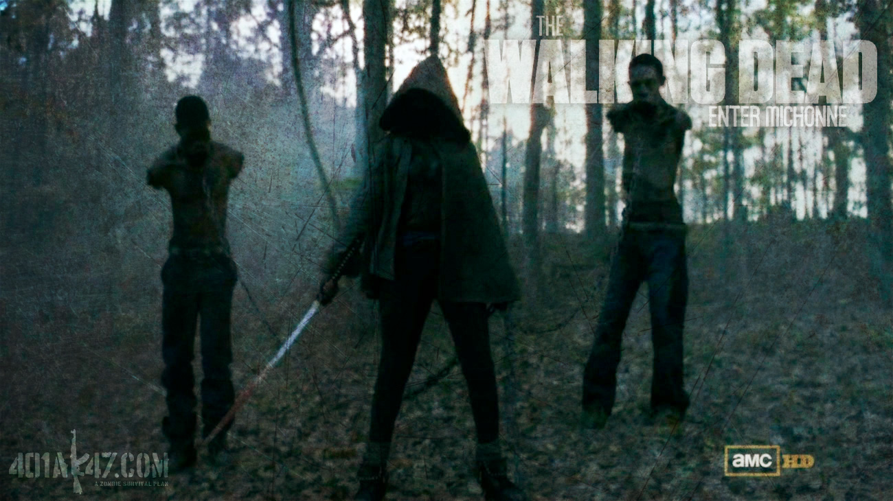 Walking Dead Michonne Entrance - HD Wallpaper 
