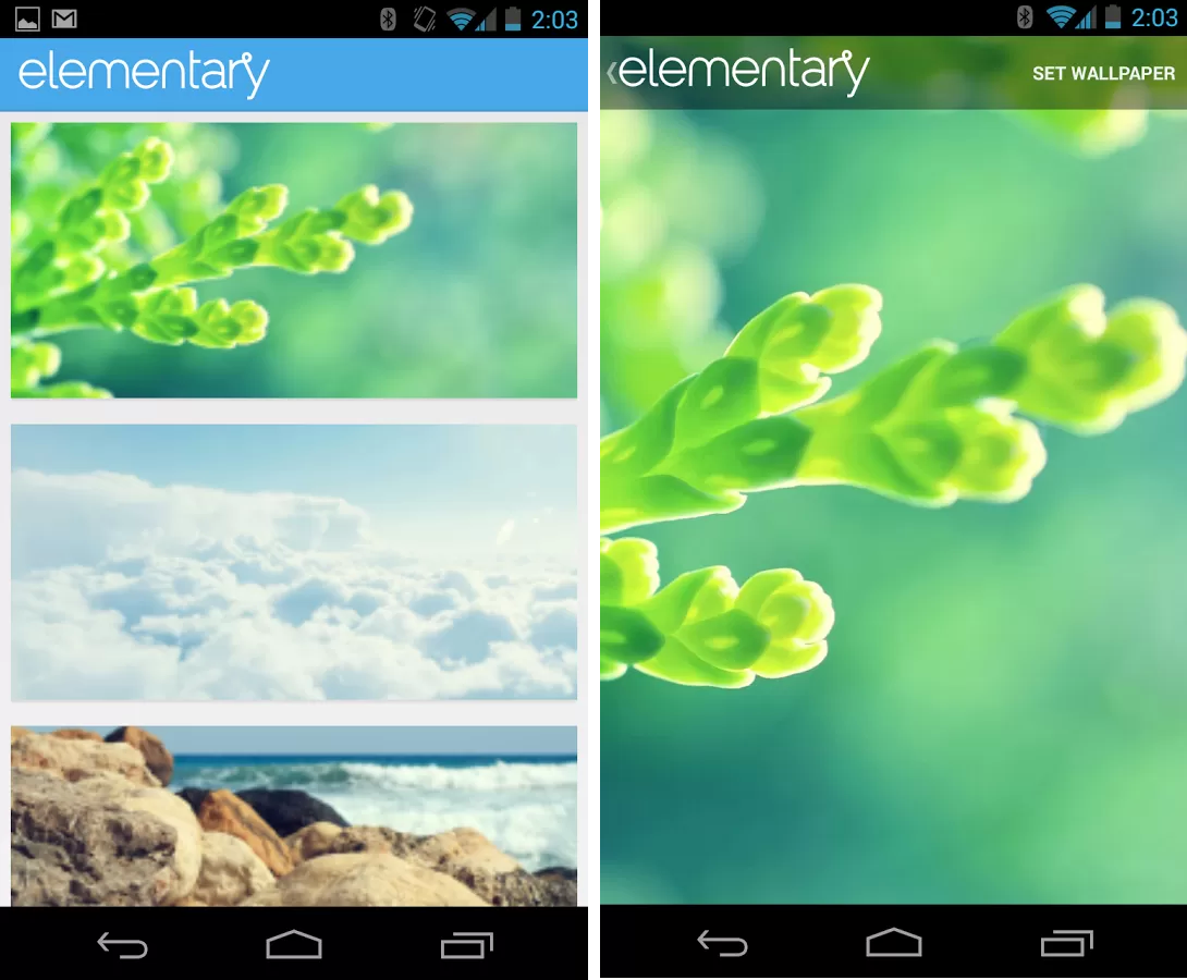 Elementary Os Luna Wallpaper App For Android - Plants Background Hd Blurred - HD Wallpaper 