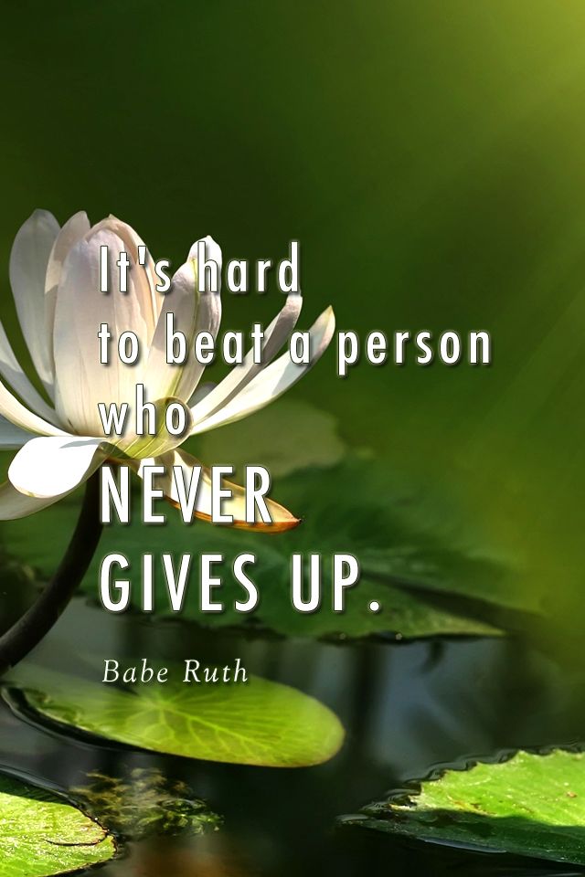 Illustration - HD Wallpaper 