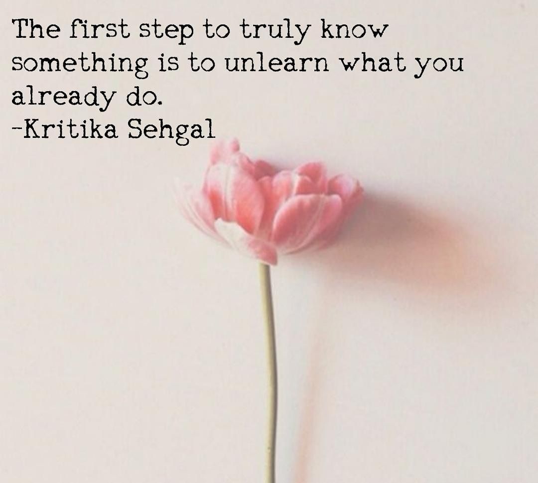 Tulip - HD Wallpaper 