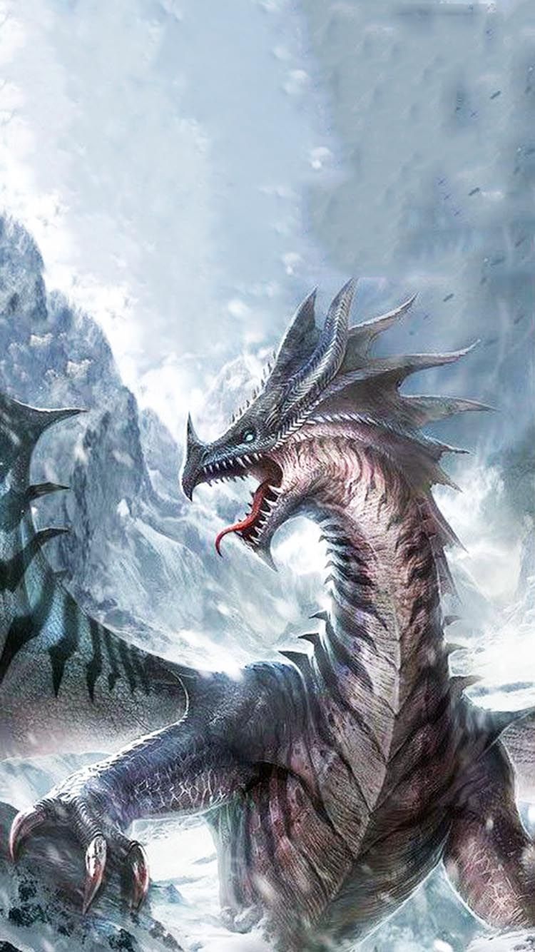 Beautiful Dragons In The World - HD Wallpaper 