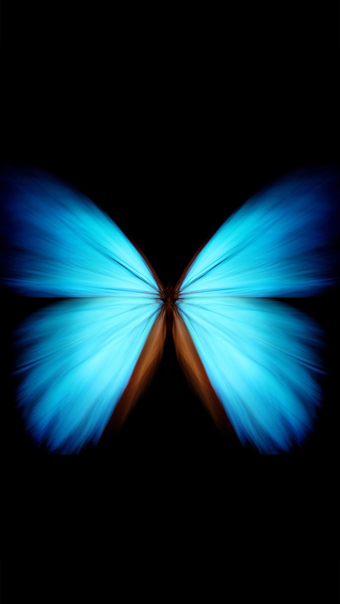Morpho - HD Wallpaper 