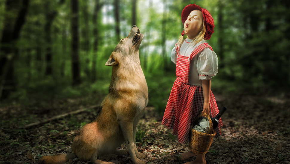 Wolf, Girl, The Situation, Little Red Riding Hood, - Krasnaya Shapochka I Volk - HD Wallpaper 