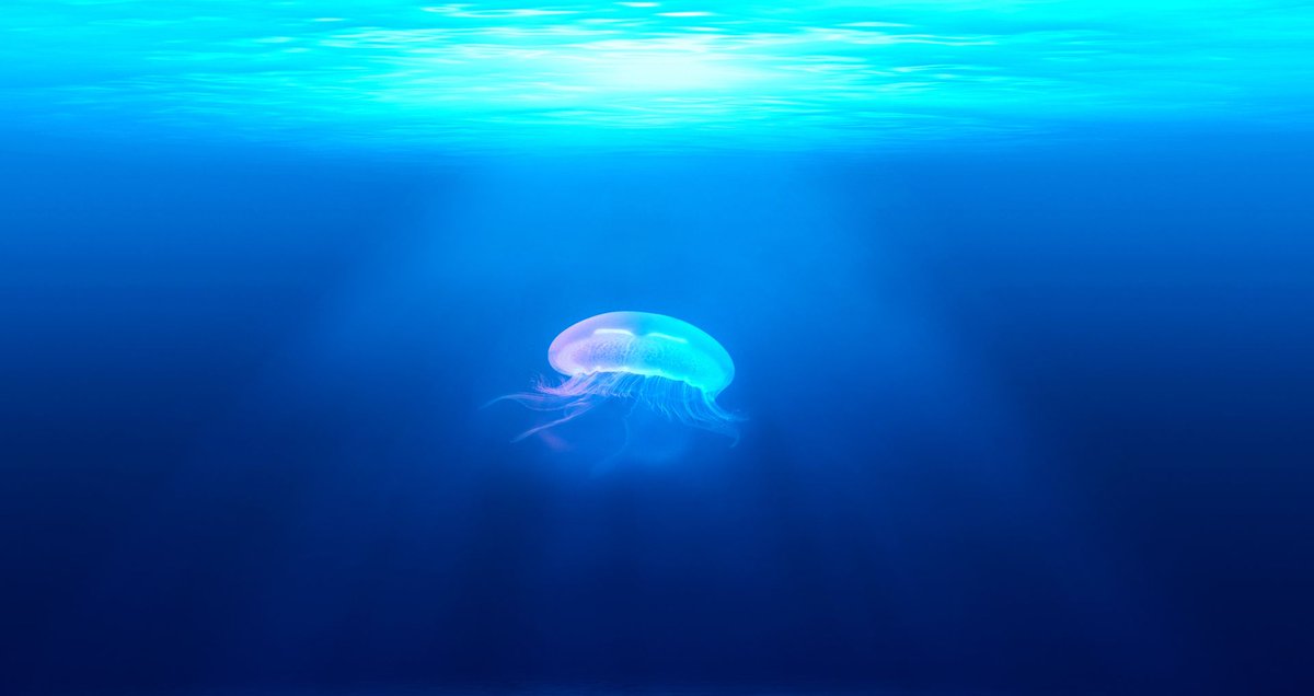 Under Water - HD Wallpaper 