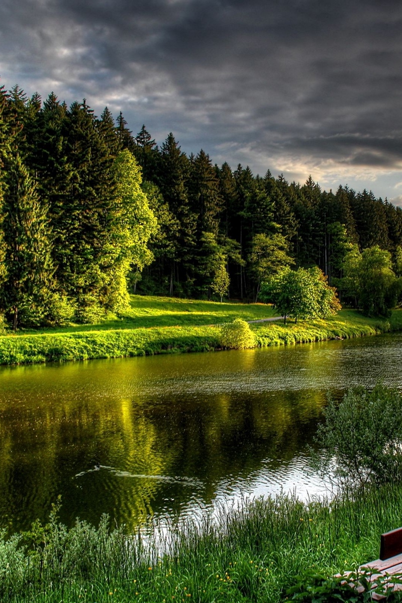 Wallpaper River, Coast, Grass, Bench, Summer, Beautiful, - Красивые Картинки На Телефон Лето - HD Wallpaper 