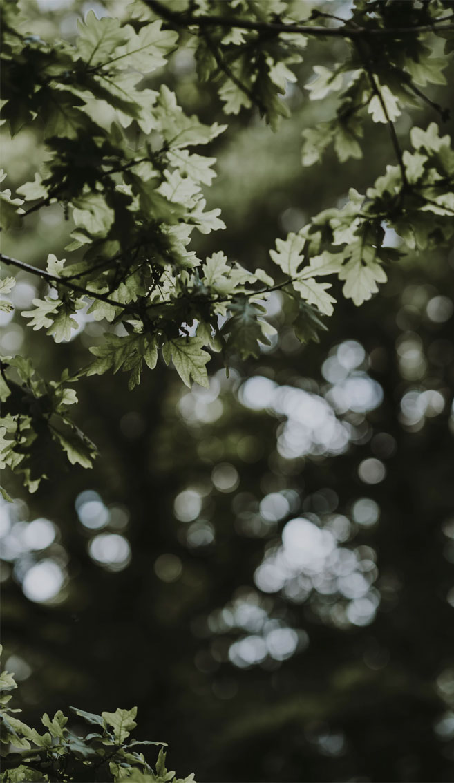 Calming - HD Wallpaper 