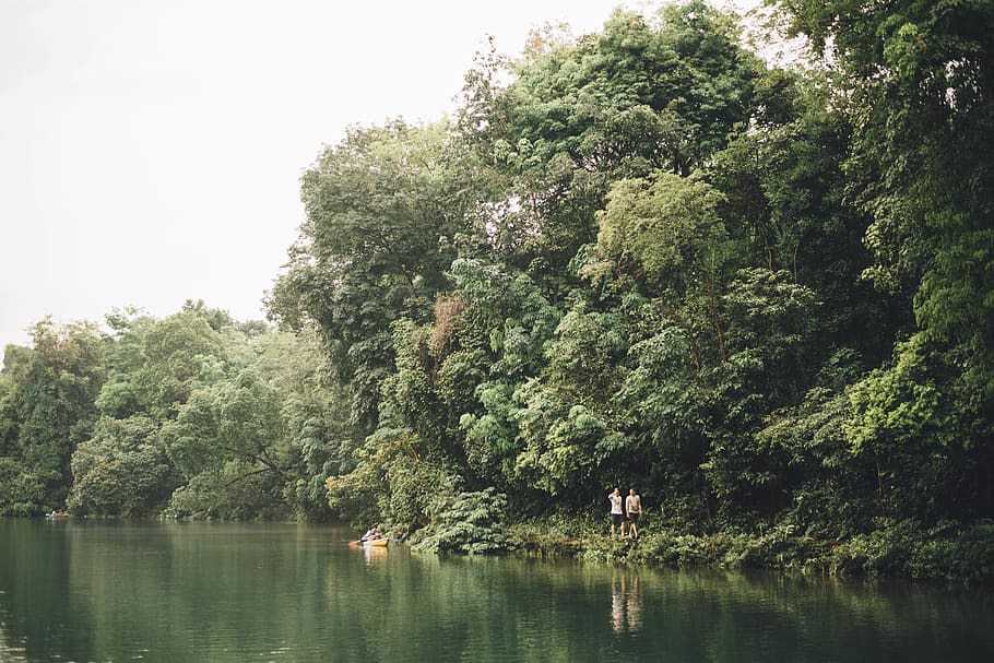 Green, Lake, Forest, Hike, Adventure, Tree, Soothing, - HD Wallpaper 