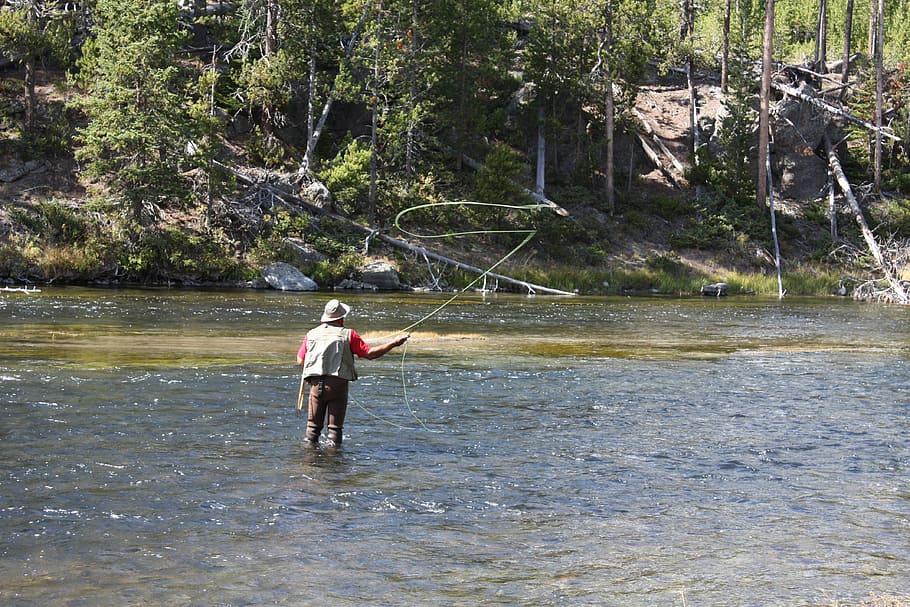 Visser, Flow, Nature, Soothing, Water, Real People, - HD Wallpaper 