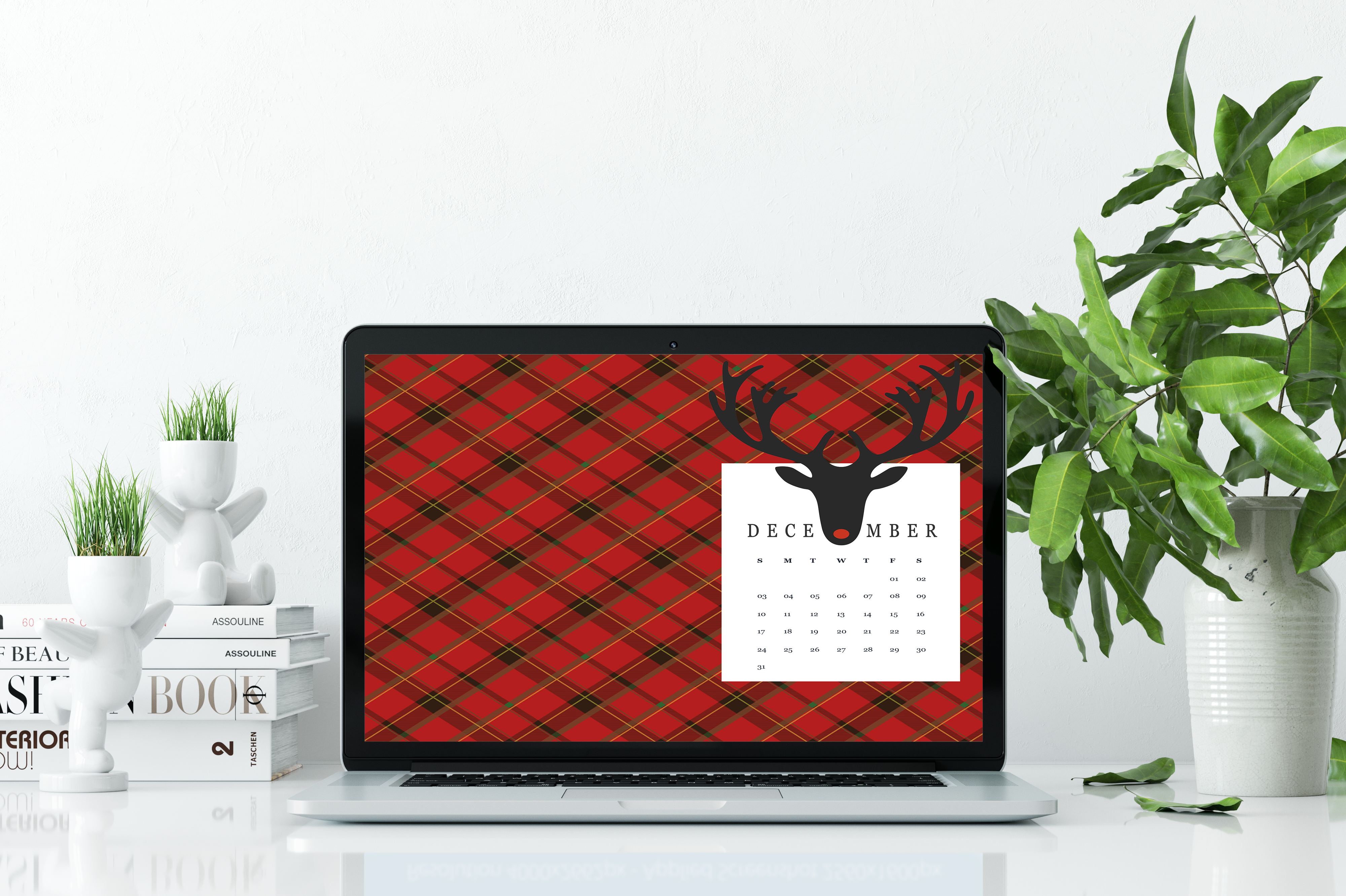 Macbook With Plant Mockup - HD Wallpaper 