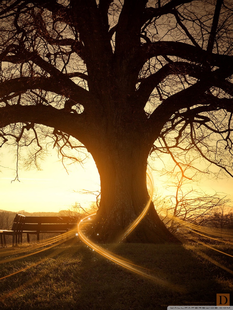 Magical Wallpaper Hd For Mobile - HD Wallpaper 