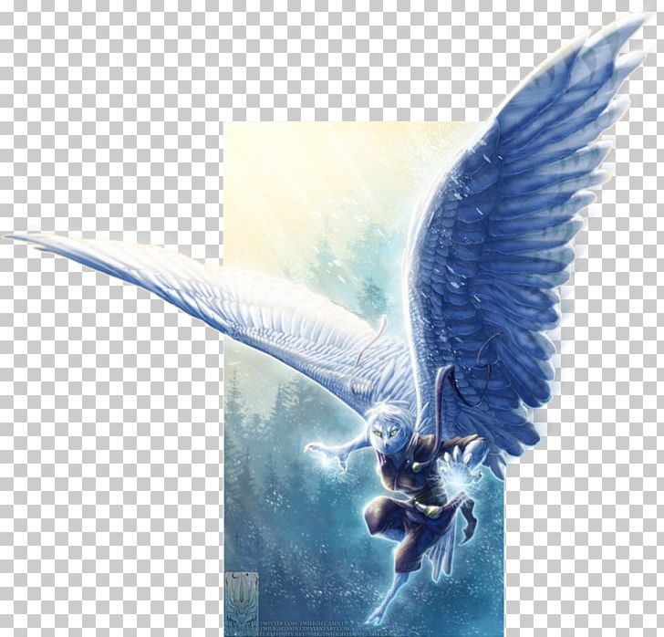 Desktop Computer Feather Beak Png, Clipart, Beak, Computer, - Cartoon Champagne Bottle Png - HD Wallpaper 