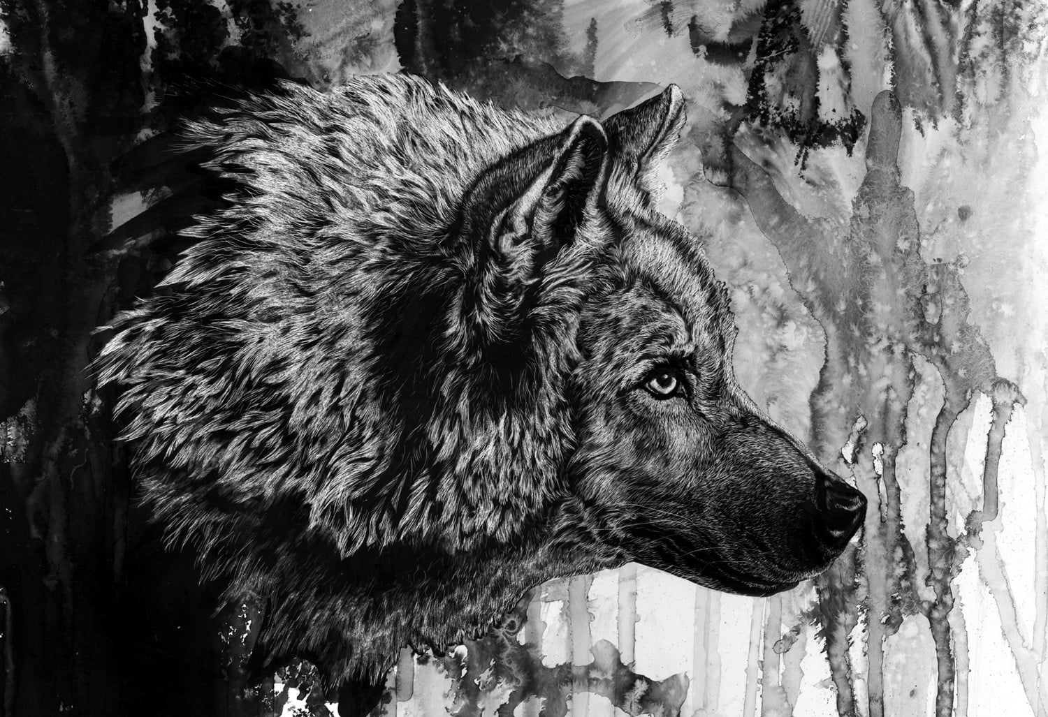 Wolf Ink - HD Wallpaper 