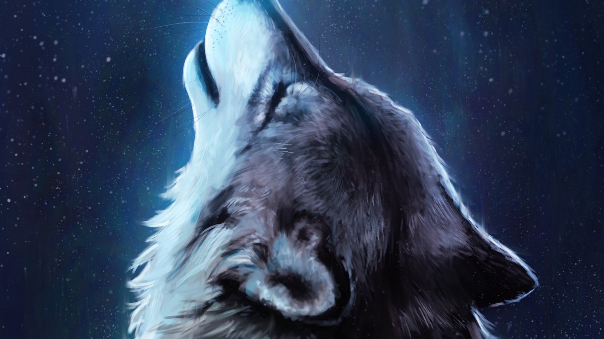 Wolf, Blue Butterfly - HD Wallpaper 