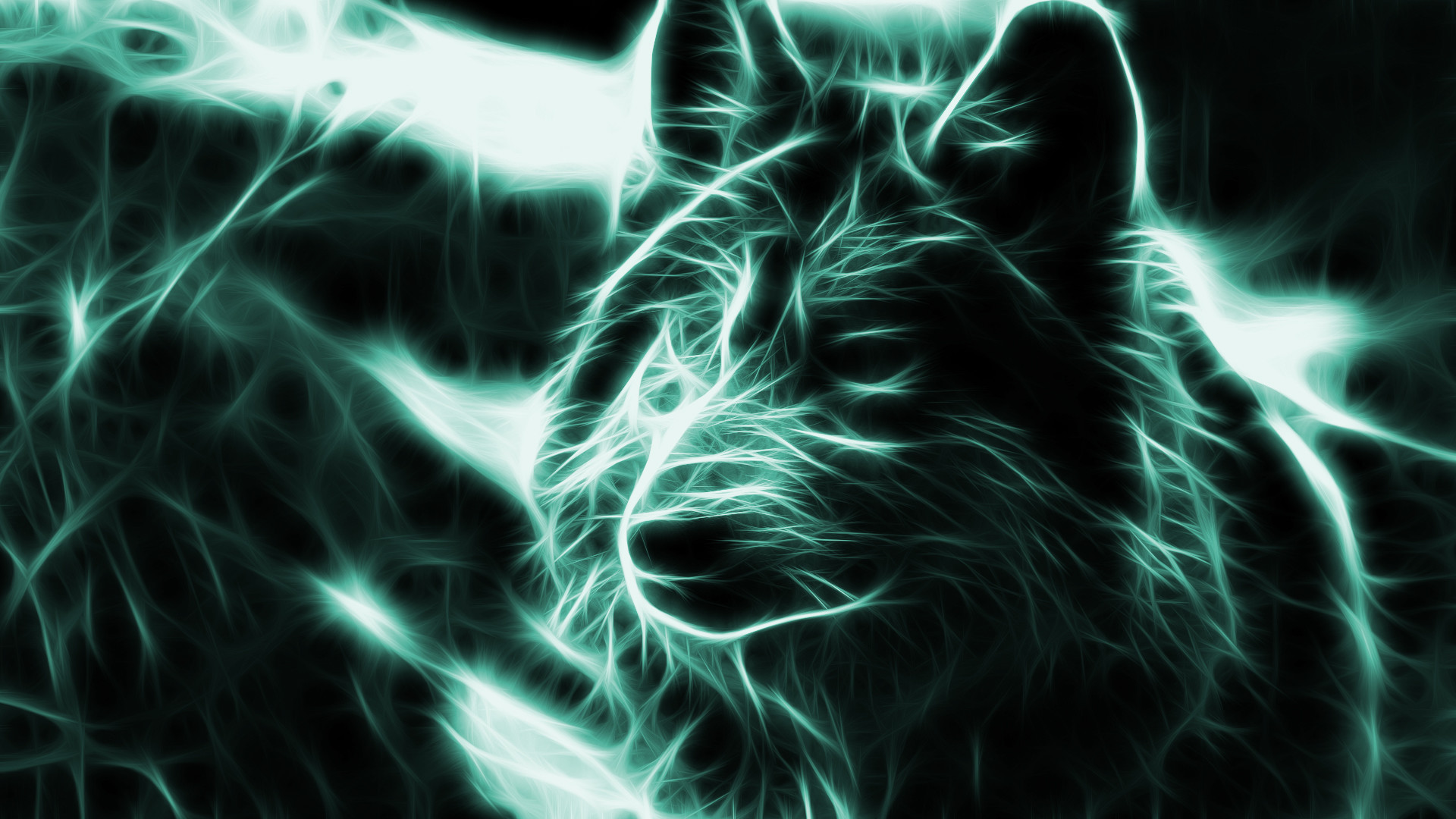 Neon Wolf Wallpaper Backgrounds 3d - Wolf Backgrounds - HD Wallpaper 