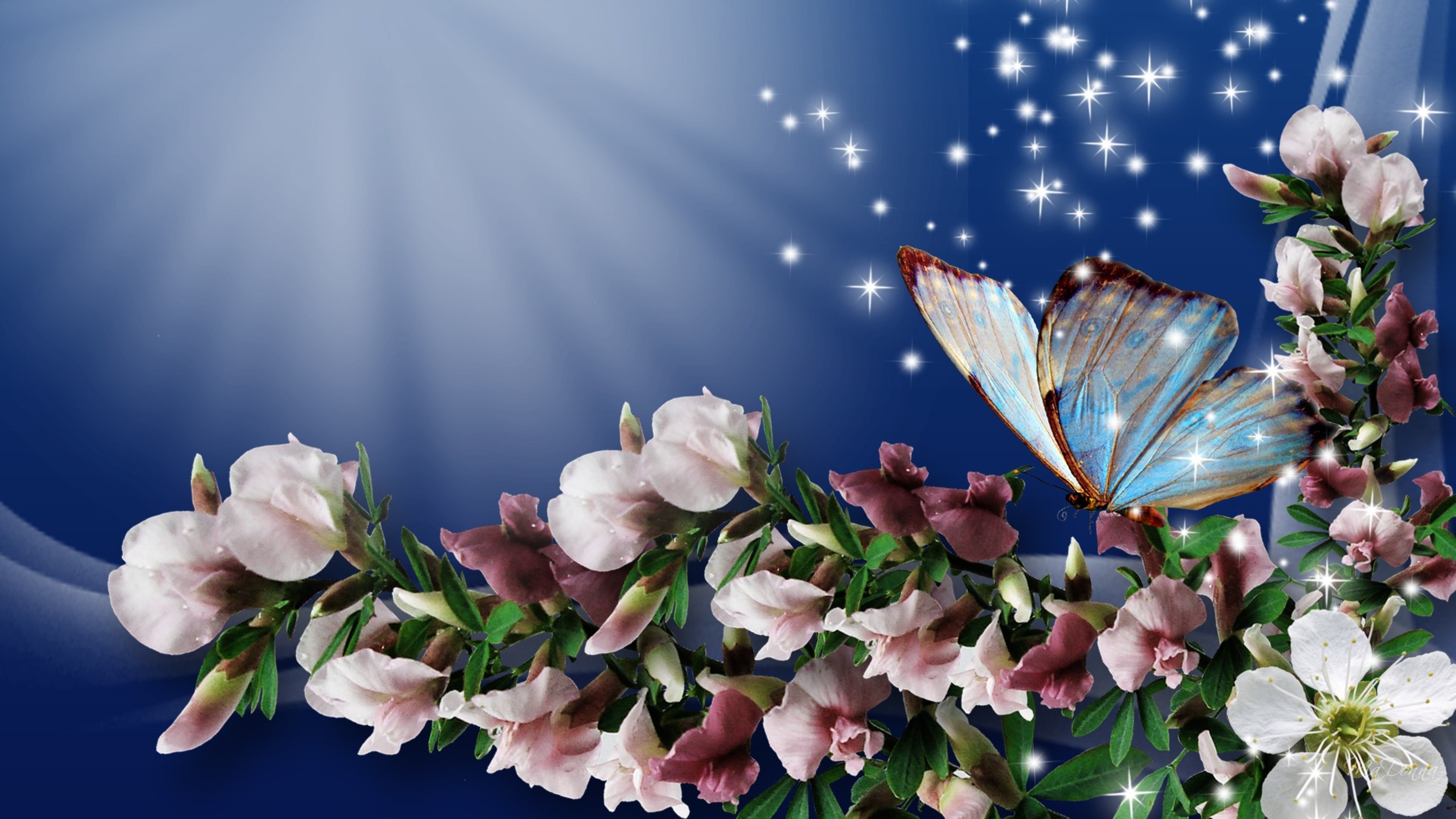 Butterflies And Flowers Wallpaper - Spring Flowers And Butterflies - HD Wallpaper 