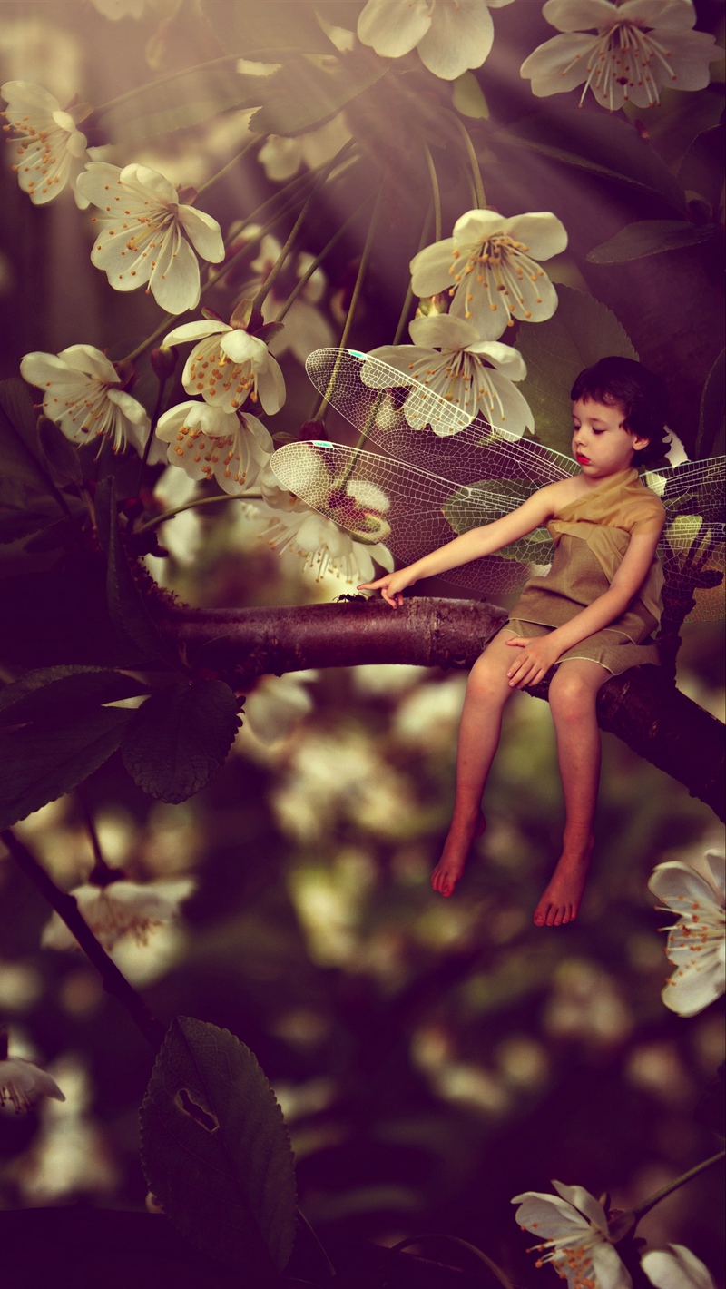Wallpaper Child, Branch, Flowers, Magic, Ant, Photoshop - Flower - HD Wallpaper 