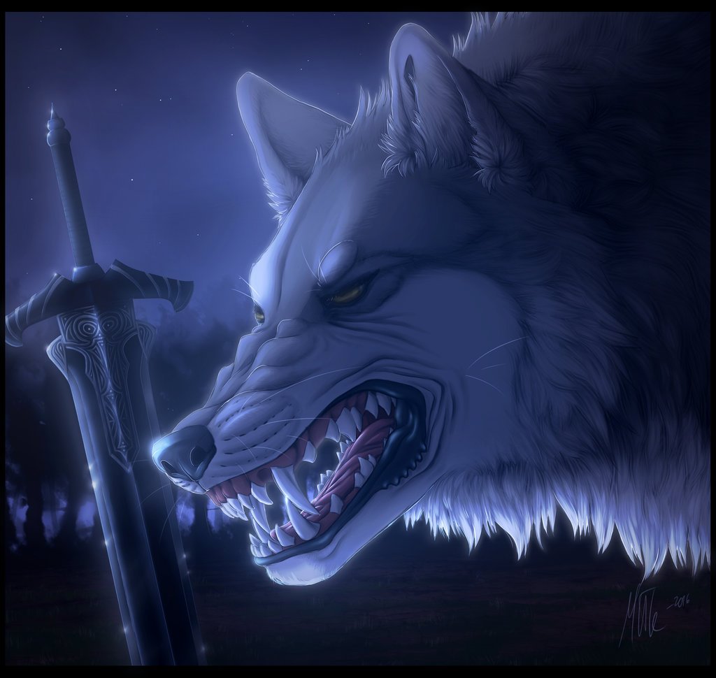 Grey Wolf Wallpaper - HD Wallpaper 