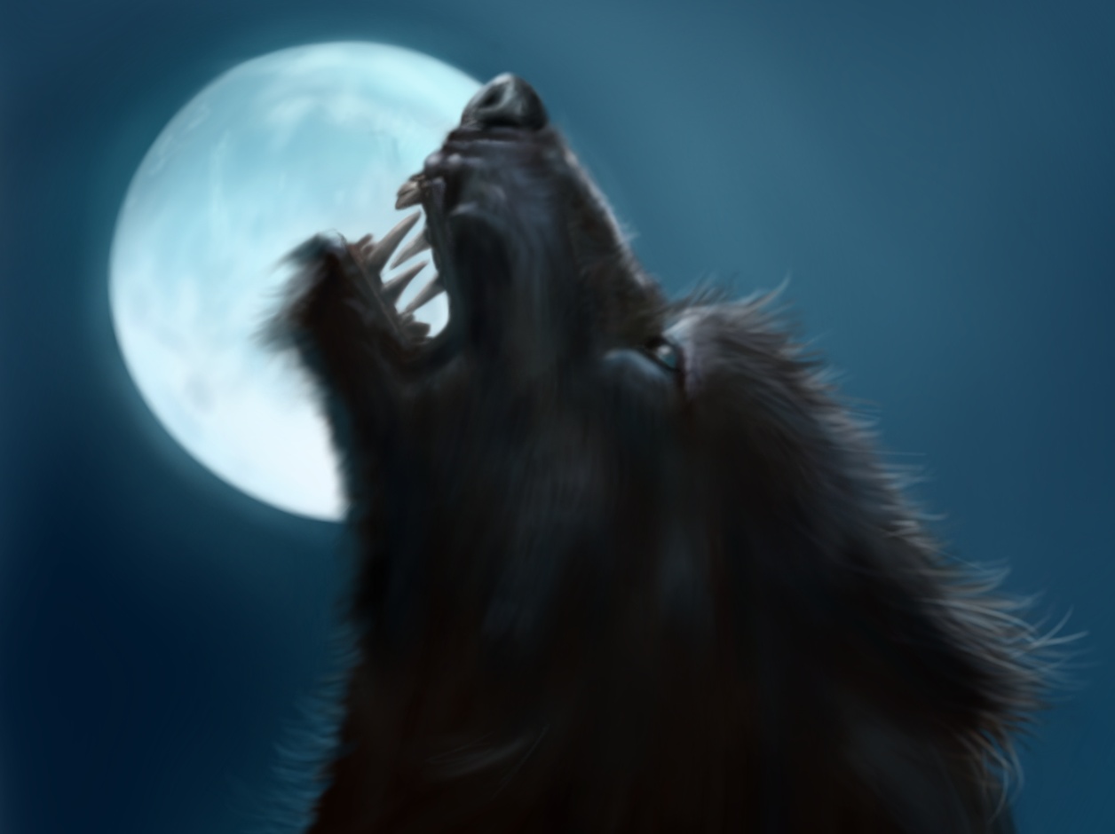 Classic Werewolf Wallpaper - Werewolf Moon - HD Wallpaper 