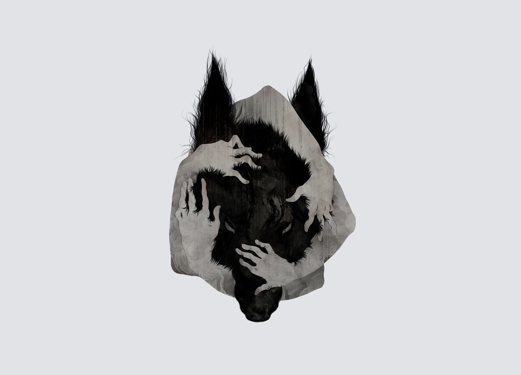Grey Wolf Wallpaper - HD Wallpaper 