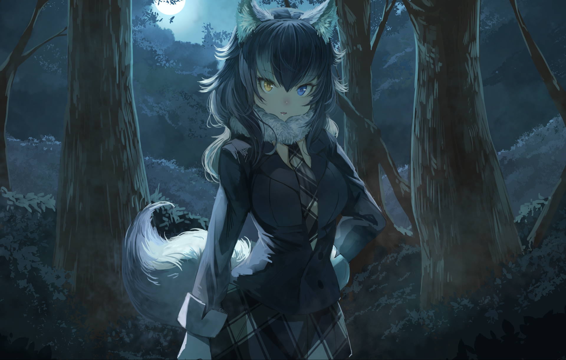 Kemono Friends Grey Wolf - HD Wallpaper 