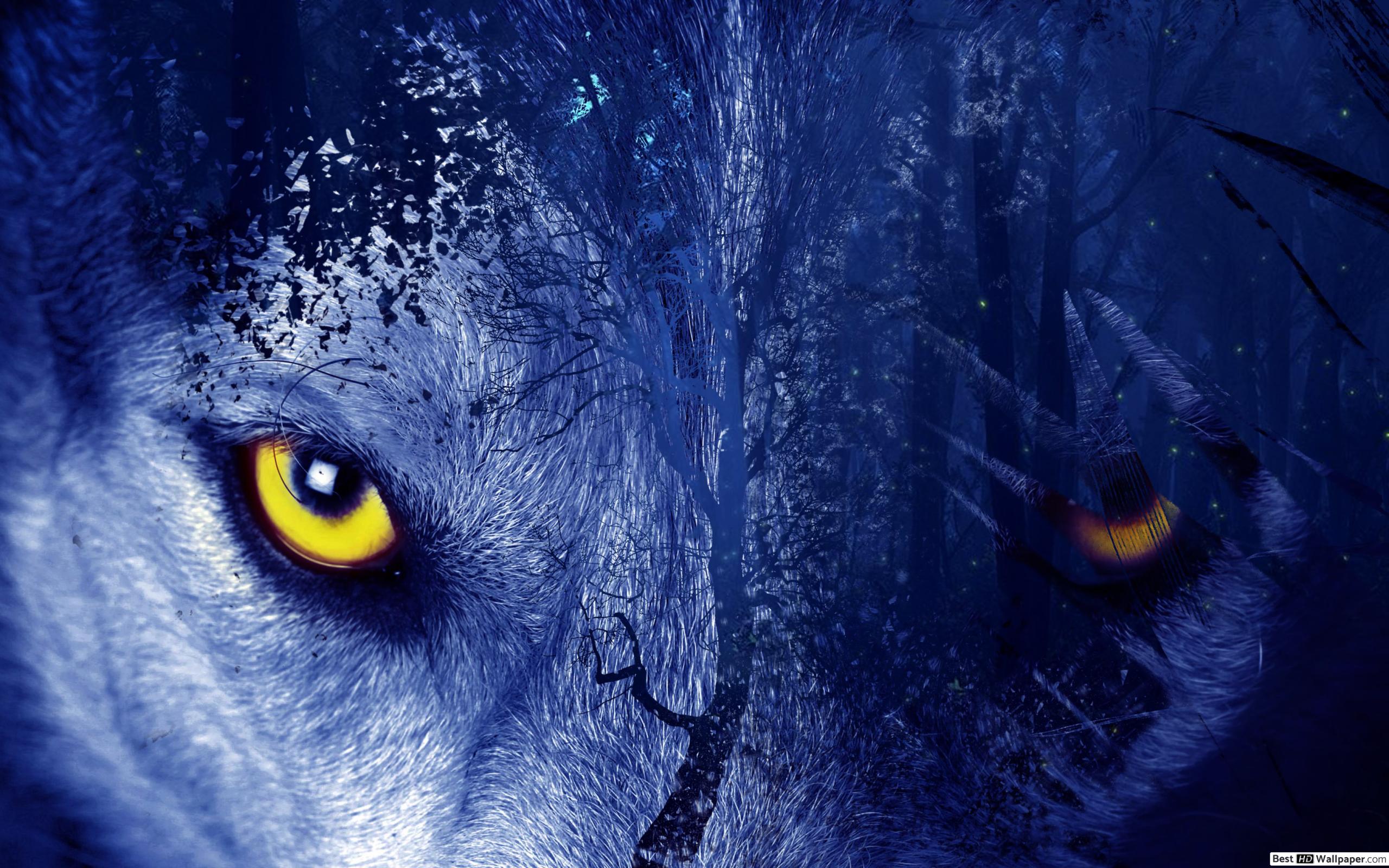 Wolf Eyes - HD Wallpaper 